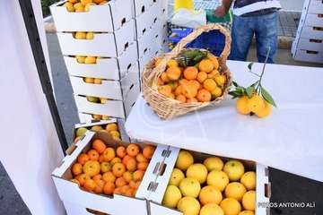 Jinámar celebra el Día del Artesano y el Labrador (Foto Antonio Alí)